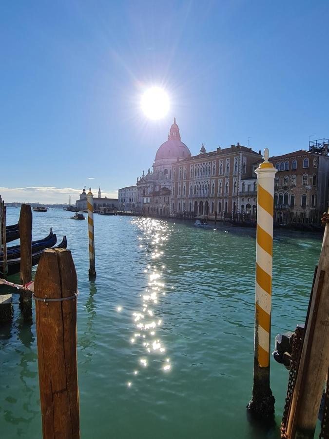 Friendly - Luxury In