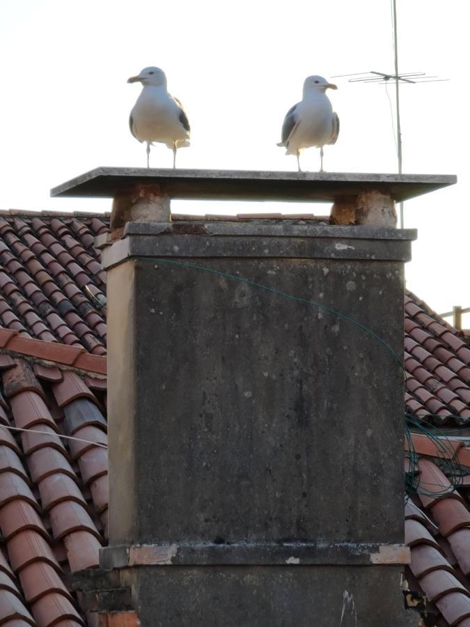 Friendly - Luxury In Gasthof